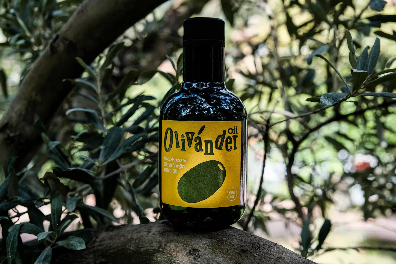 Оливковое масло Extra Virgin Olivander 250 мл — идеальный подарок, холодный отжим, Трилье
