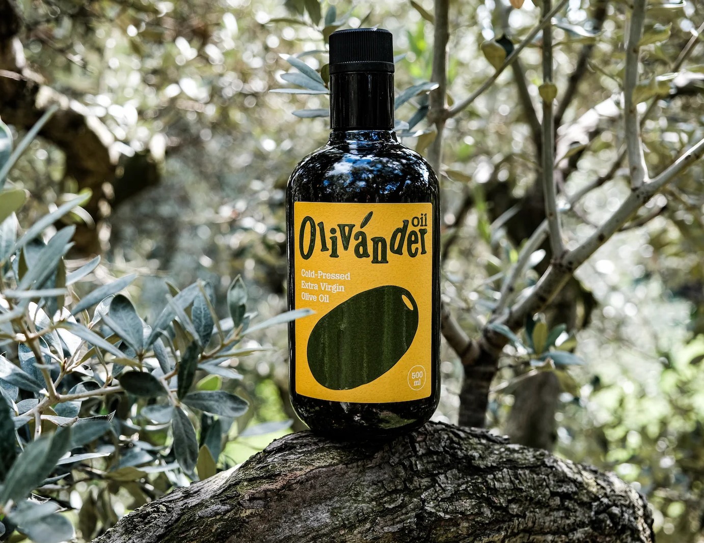 Оливковое масло Extra Virgin Olivander 500 мл — первый холодный отжим, кислотность 0,35%, Трилье, Турция